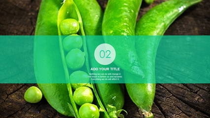 綠色蔬菜農產品PPT模板免費下載指南