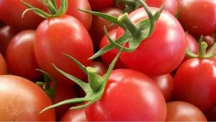 銷售模式單一成農(nóng)產(chǎn)品上行大忌