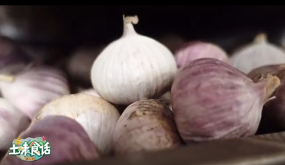 從大蒜到黑蒜 金鄉(xiāng)致富的金蒜盤