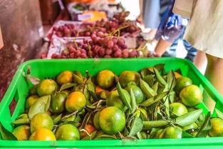 永久售賣裸價農產品，秀麗東方打造天府趕場文化第一街