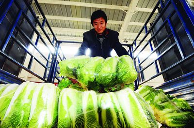 運(yùn)輸鮮活農(nóng)產(chǎn)品昨起享綠色通道，公路通行費(fèi)全免