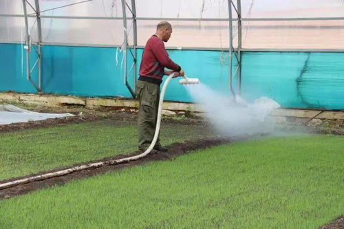 興安盟嶺南香 以責(zé)任匯聚誠信力量，守護(hù)農(nóng)產(chǎn)品品質(zhì)之源