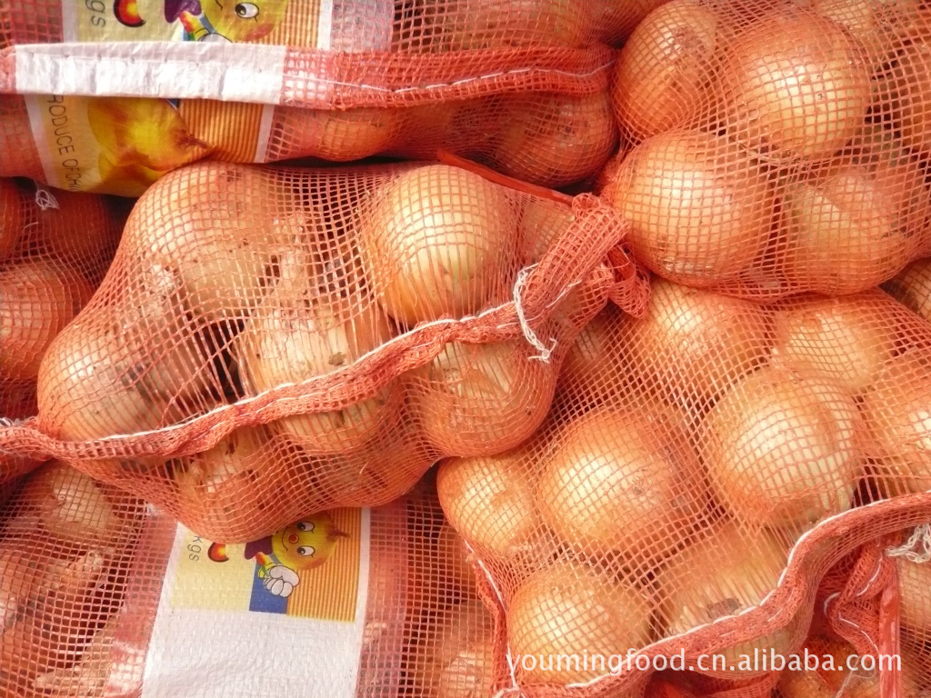 甘肅洋蔥市場(chǎng)探析 2012年保鮮洋蔥的價(jià)格、產(chǎn)地與品種特點(diǎn)