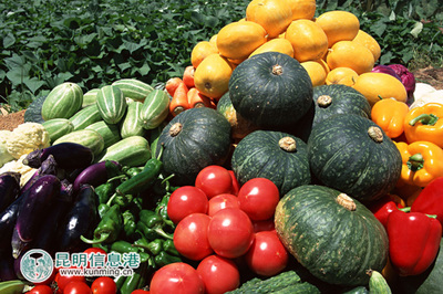 元謀新篇 以特色產(chǎn)業(yè)為翼，打造綠色經(jīng)濟(jì)強(qiáng)縣