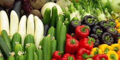 安康230家龍頭企業(yè)全面復(fù)工，保障鮮活農(nóng)產(chǎn)品穩(wěn)定生產(chǎn)與供應(yīng)